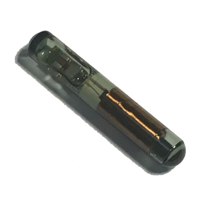 Transponder T7
