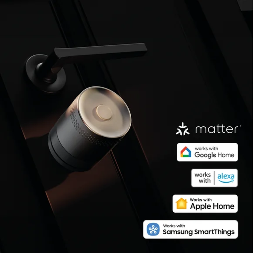 LINUS L2 LITE SMART LOCK - PRATA