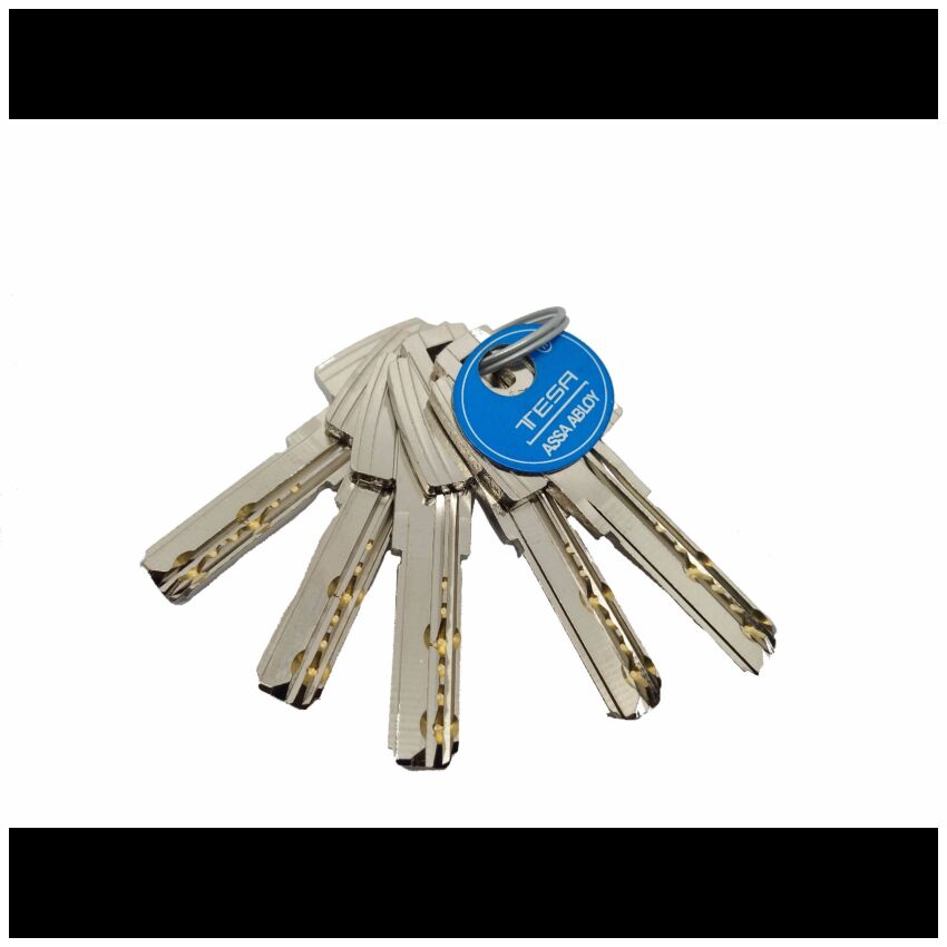 Cilindro Tesa T60 45x55mm niquelado