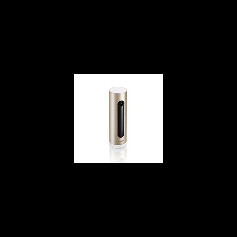Câmara de vigilância Netatmo para interior