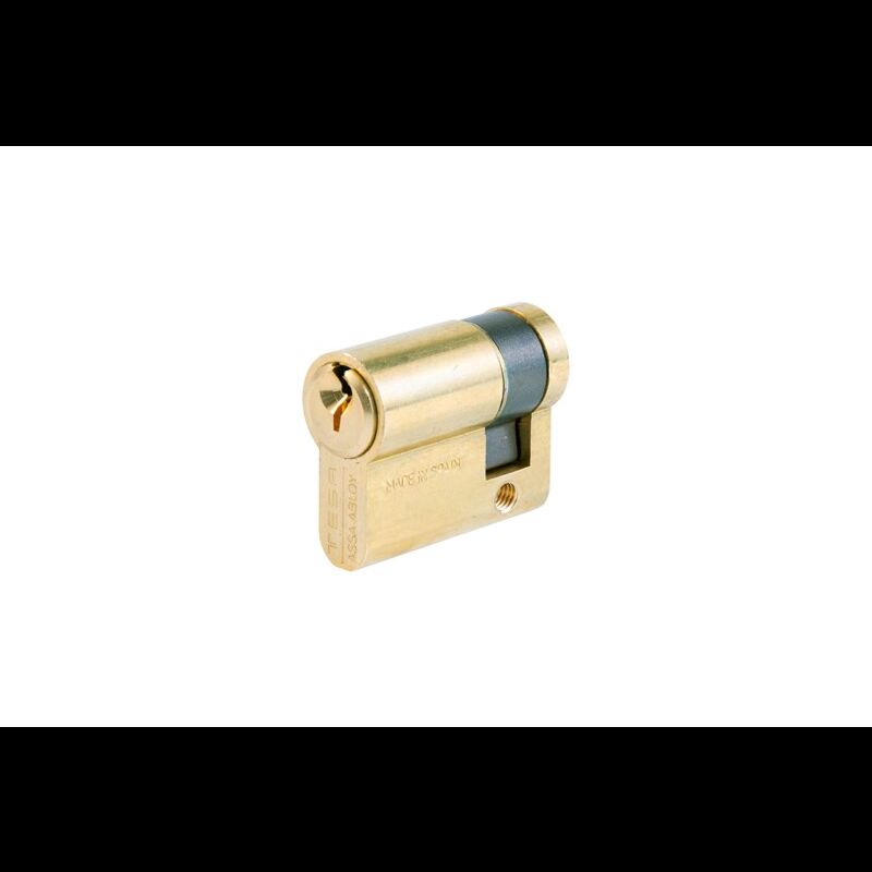 Cilindro Tesa TE5 40x10mm latonado