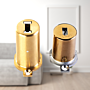 Cilindro Fichet 787Z 2D Vertipontos dourado