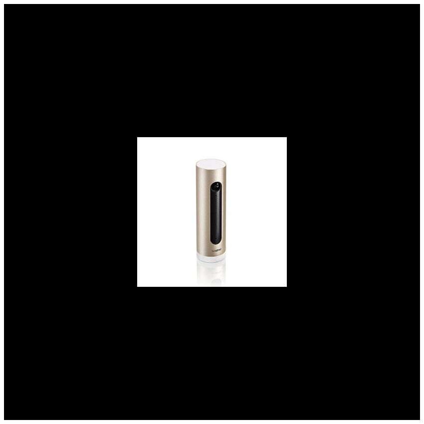Câmara de vigilância Netatmo para interior